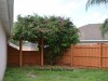 2752 Big Pine Dr. Holiday, FL 34691 - Fenced_Back_Yard_8e5e8c670a8560f12c8d7fd6ea64f2bc