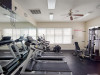 9826 Carlsdale Dr. Riverview, FL 33578 - fitness_29b2a6a098f434e1bf0b6022a022a752